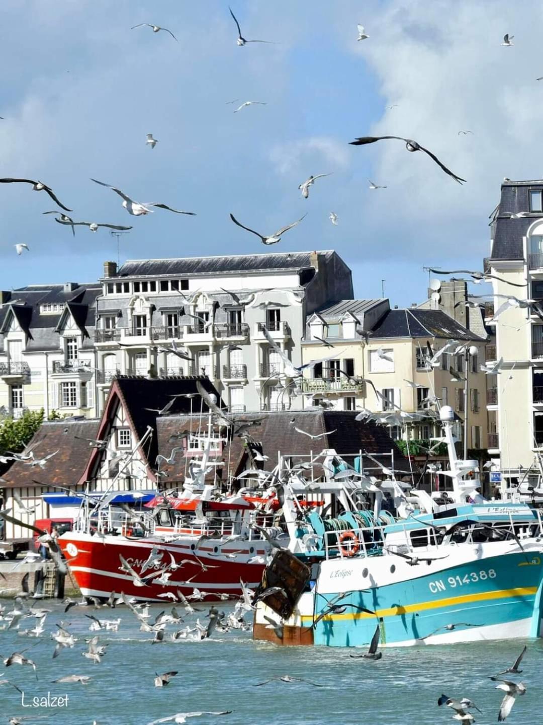 Studio De Charme A Trouville Sur Mer. Екстериор снимка
